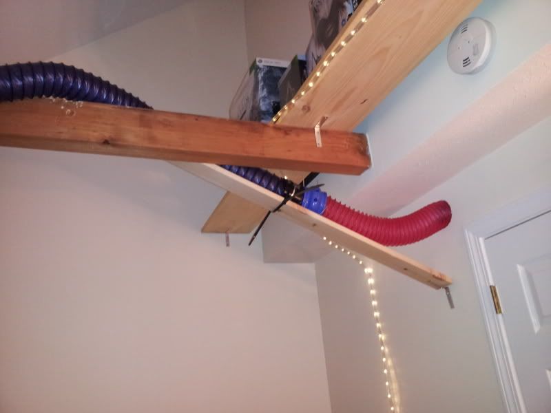 Tunnel and cage system The Holistic Ferret Forum